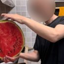 우리집청과 네이버블로그