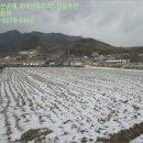 대강면 평촌마을 이미지