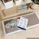 3819 | <멜킨스포츠> 스텝박스+케틀벨로 홈짐이 됐다 - 멜킨 홈트 후기