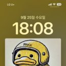 빈'SNaiL 네이버블로그