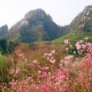 수색대골 이미지