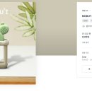 선인장디자인
