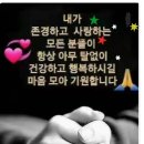 모아모아옷수선 이미지
