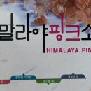 대양쏠트 이미지