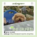 화순민물매운탕 | 화순 애견동반 가능한 식당 대나무집 라떼랑 다녀옴