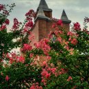 서호꽃뫼 이미지