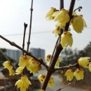 토함빌리지 이미지