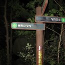 스타일 구겨진 서울5산(불수사도북) 나들이 이미지