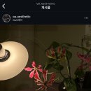 봉곡동297 | (구미 에스테틱) 봉곡동 oa 에스테틱 / 힐링끝판왕