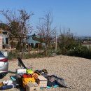 김포황토테마파크 이미지