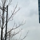 곡란로103번길 이미지