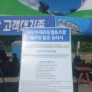 인제휴가 | 여름휴가, 짜릿하게 즐기는 인제 내린천 래프팅 후기