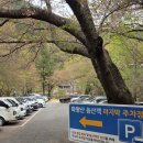 경남 창녕 가볼 만한 곳 진달래 산행 화왕산 등산 코스