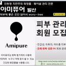 아미퓨어 발산점