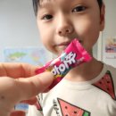 미트유정육점 한돈 캠핑바베큐세트 후기