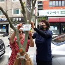 동말 이미지