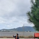UN본부 펜션 네이버블로그