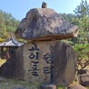 완도 고금도 지석묘군 이미지