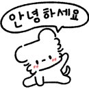 플라워케이크세렝 이미지