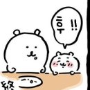 뜨개요정 이미지
