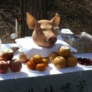 우면산3-19 이미지