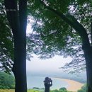 상주은모래비치 | 경남 남해 상주은모래비치 해수욕장 캠핑장 여름휴가 해루질 가볼만한곳 여기 어때!