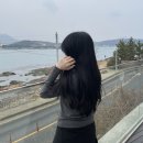 로와맨션 이미지