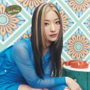 이새롬 카카오 검색결과