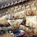 클라라 한옥민박 이미지