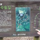 삼다수숲길 주차장 이미지