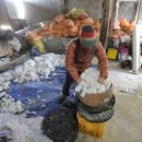 칠성면업사 이미지