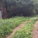 개곡2리 이미지