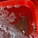 킹콩낚시 이미지