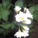 경희농원 이미지