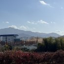 송학동-13 이미지