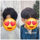망고헤어스토리