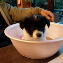 심곡정미소 이미지