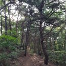 이진 경로당 | 음성 오갑산(梧甲山 609.1) 210816