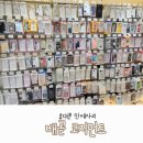 코지먼트 이미지