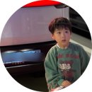 [공지] 테슬라 모델Y 주니퍼 RWD | 계약 출고 선팅 후기
