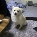 신건지동 이미지