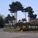 구석기체험숲1 이미지