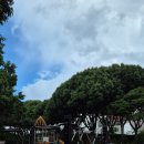 제39호 어린이공원 이미지