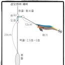 여수 국동항 갑오징어 낚시 이미지