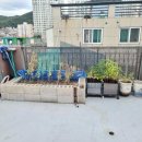 유동경로당 | 인천 남동구 모던하우스 매매 전세 실거래가 한눈에 정리