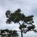 모항레저타운 이미지