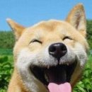 기억