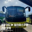 [필리핀/말라파스쿠아] 세부 → 말라파스쿠아 가는 법 간단정리 &amp; 버스로 다녀온 후기