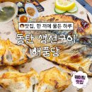 동탄대로2길 | 동탄 생선구이 맛집, 해품당, 난리자베스 메로구이 찐후기