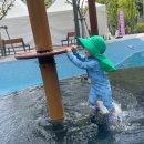 노루어린이공원 이미지